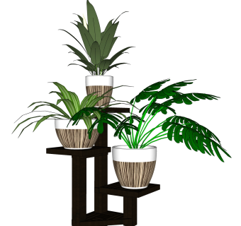 精品耐阴植物sketchup模型集下载