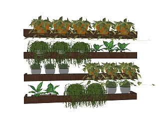 植物盆栽sketchup模型，盆栽skp模型下载