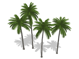 棕榈树乔木sketchup素材，<em>景观绿植</em>草图大师模型下载