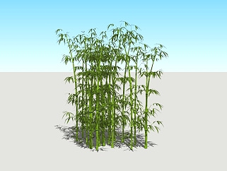 现代竹子su模型免费下载，竹子skp文件下载