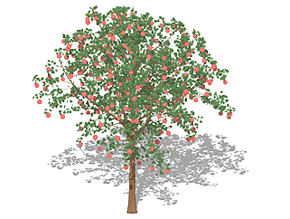 苹果<em>树</em>乔木草图大师模型，景观绿植sketchup素材下载