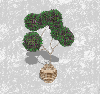 绿石竹盆栽草图大师模型下载，家居植物盆景sketchup模型