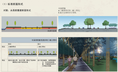 [江苏]睢宁县红叶路道路沿线景观规划<a href=https://www.yitu.cn/su/7590.html target=_blank class=infotextkey>设计</a>方案文本-北京土<a href=https://www.yitu.cn/su/8090.html target=_blank class=infotextkey>人</a>_8