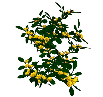 桂花绿植sketchup模型，现代观花植物skp文件下载
