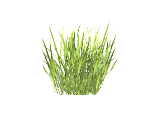 苦草<em>地被植物</em>su模型免费下载，植物草图大师模型分享