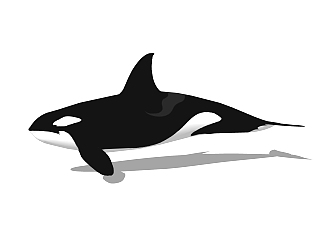 现代虎鲸草图大师模型，动物sketchup模型下载