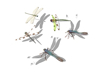 现代<em>蜻蜓</em>草图大师模型，<em>蜻蜓</em>sketchup模型免费下载