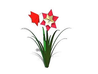 朱顶红<em>花卉植物</em>草图大师模型，花卉su模型下载