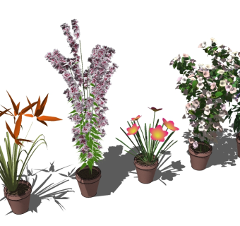 精品开花植物sketchup模型集下载