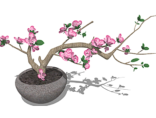 桃花盆栽草图大师模型，手绘绿植sketchup模型下载