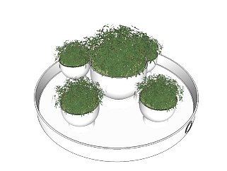 现代<em>植物盆栽</em>sketchup模型，<em>植物盆栽</em>草图大师模型下载