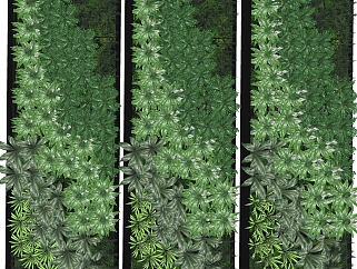 <em>清香木</em>植物墙sketchup模型，室内植物墙skp文件下载