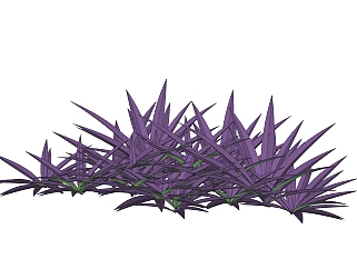 紫鸭跖草绿植sketchup模型，现代<em>观叶植物</em>skp文件下载