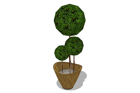 柏树盆栽sketchup模型，手绘绿植草图大师模型下载