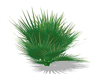 蒲葵灌木丛su模型，常绿灌木草图大师模型下载