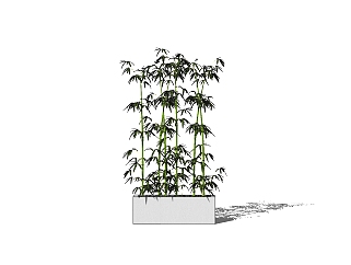 现代竹子盆栽skb模型分享，竹子草图大师模型下载
