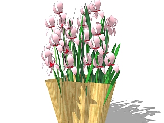 不规则木质花盆植物su模型，小苍兰花艺草图大师模型下载