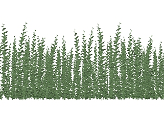 尤加利树灌木丛sketchup模型，<em>常绿</em>灌木skp文件下载