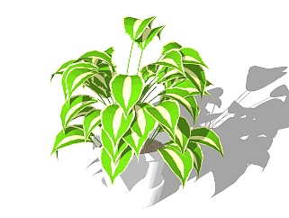 现代<em>室内植物</em>草图大师模型，<em>室内植物</em>SKP模型下载