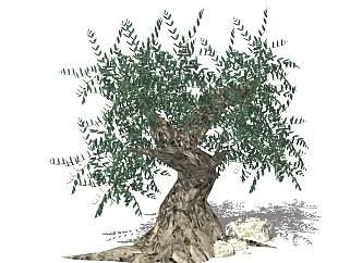 植物树SU模型，植物树SKB文件下载