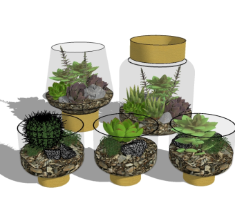 现代时尚玻璃瓶装多肉植物su模型下载，多肉植物skp文件下载