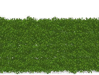 小叶黄杨灌木丛sketchup模型，常绿灌木skp文件下载