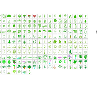 超全园林乔木工程图纸下载