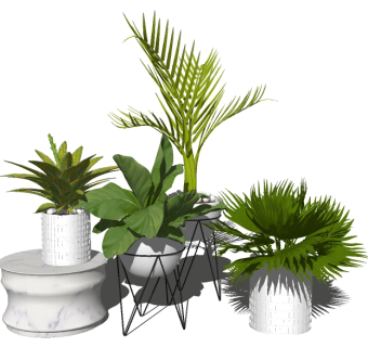现代多种植物盆栽su模型，盆栽草图大师模型下载