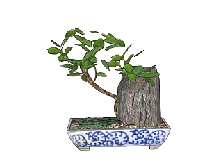 中式盆栽草图大师模型下载，盆栽SU模型