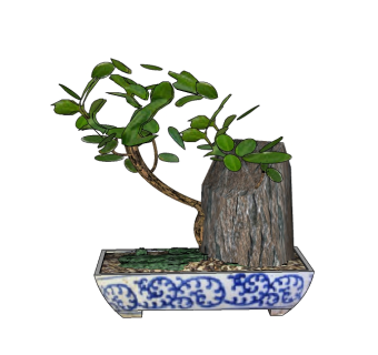 中式盆栽草图大师模型下载，盆栽SU模型