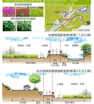 田园风光绿道