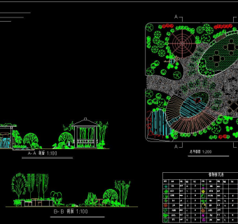 某学校广场景观改造设计方案CAD图纸