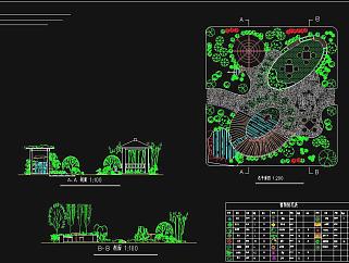某学校广场景观改造设计方案CAD图纸