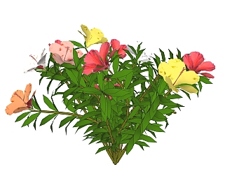 朱槿绿植sketchup模型，现代观花植物skp文件下载