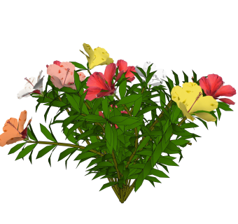 朱槿绿植sketchup模型，现代观花植物skp文件下载