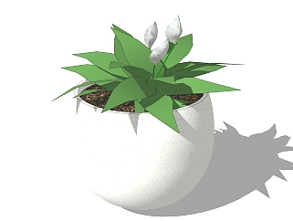 <em>球形</em>花盆植物su模型，白鹤芋花艺草图大师模型下载