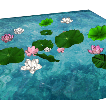 荷花绿植sketchup模型，现代花卉植物skp文件下载