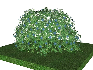 八仙花灌木丛sketchup模型，常绿灌木skp文件下载