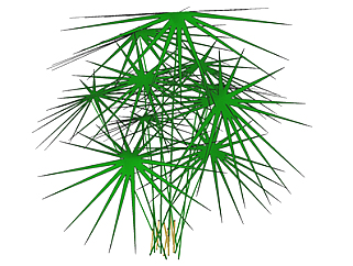 风车草现代植物su模型，绿植花草图大师模型下载