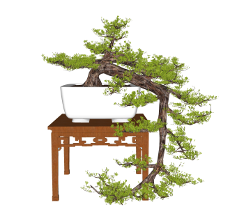 中式迎客松草图大师模型，迎客松SKB文件下载