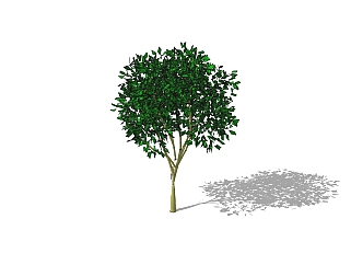 <em>垂叶榕</em>景观树SU模型免费下载，植物树草图大师模型