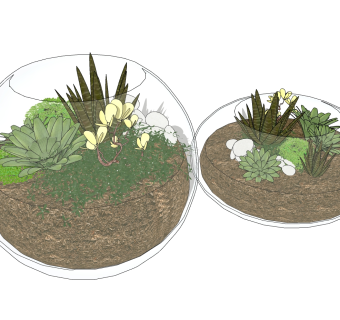 现代植物盆栽 草图大师模型下载，盆栽sketchup模型下载