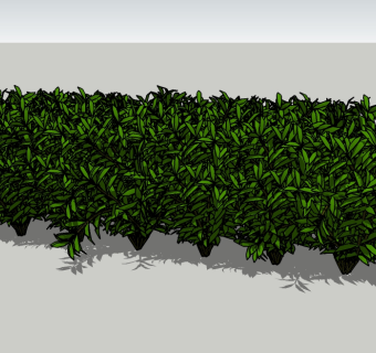 现代植物灌木sketchup模型下载，灌木植物草图大师模型