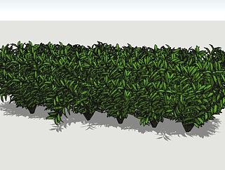 现代植物灌木sketchup模型下载，<em>灌木植物</em>草图大师模型