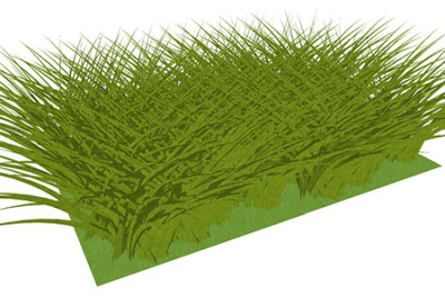 狗牙根植物su模型，绿植草丛草图大师模型下载