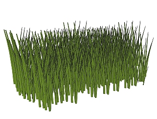 凤尾<em>竹</em>灌木丛sketchup模型，常绿灌木skp文件下载