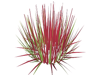 血草绿植sketchup模型，现代<em>花卉</em>植物skp文件下载