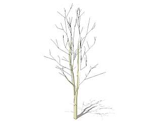 红叶椿枯树乔木草图大师模型，景观绿植sketchup素材下载