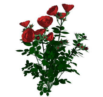玫瑰绿植sketchup模型，现代观花植物skp文件下载