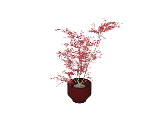 红枫植物盆栽sketchup免费模型下载，植物红枫盆栽草图...